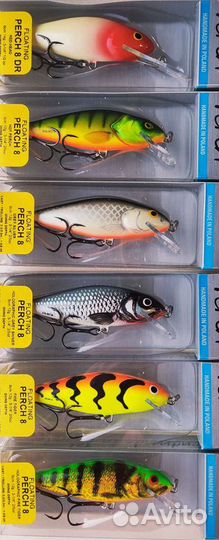 Salmo perch 8F-GS/GT/RH