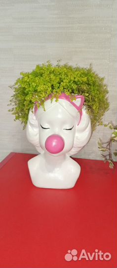 Кашпо с цветком