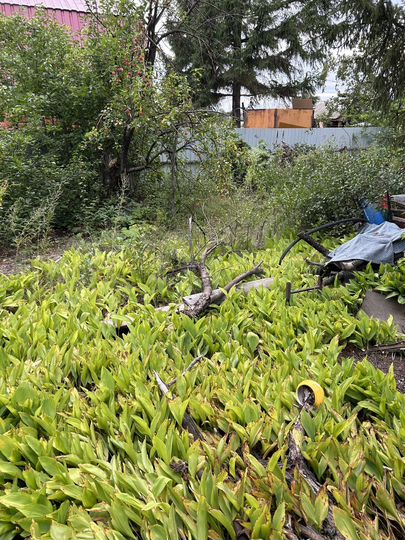 Дача 85 м² на участке 6 сот.