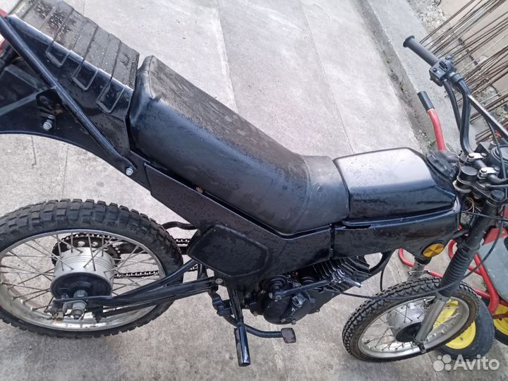 Зид пилот 50