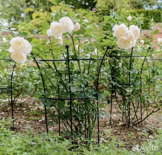 Кустодержатель(опора для кустов и цветов)