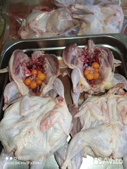 Перепелки тушки