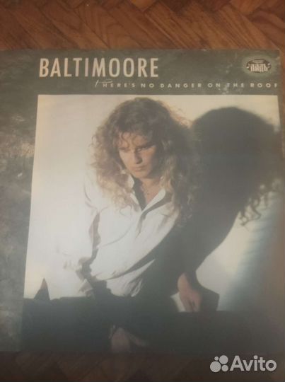 Виниловая пластинка