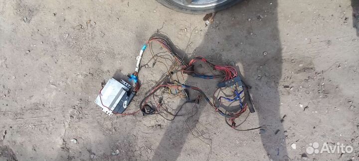 Эбу январь 71