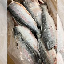 Красная рыба свежая