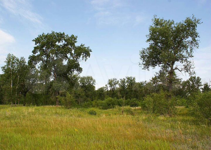 Участок 25 сот. (ИЖС)