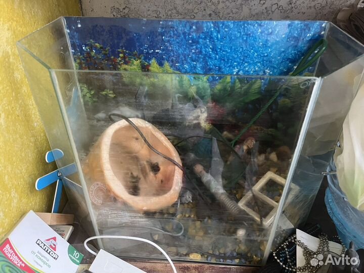 Аквариум