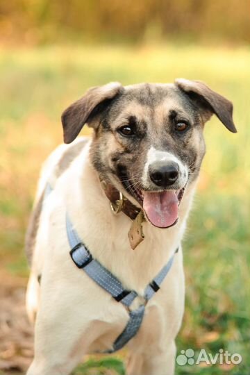 Торочка, самая милая девочка, ищет родителей