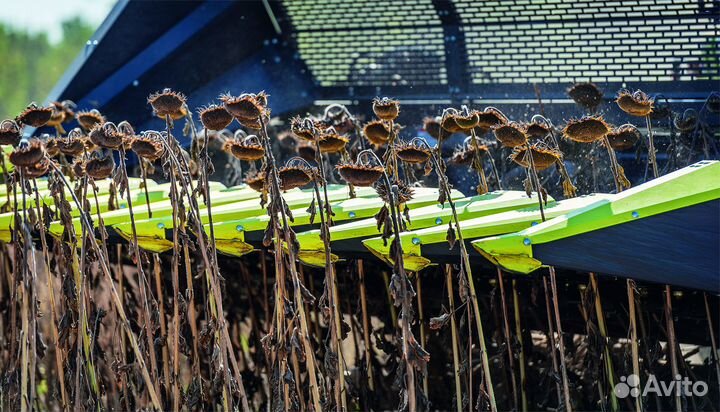 Жатка Olimac Drago Gold, 2023