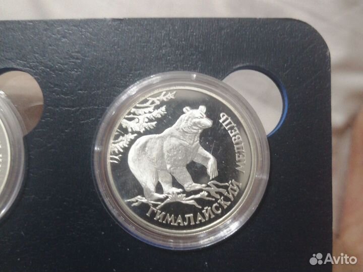 1 рубль красная книга гималайский медведь 1994