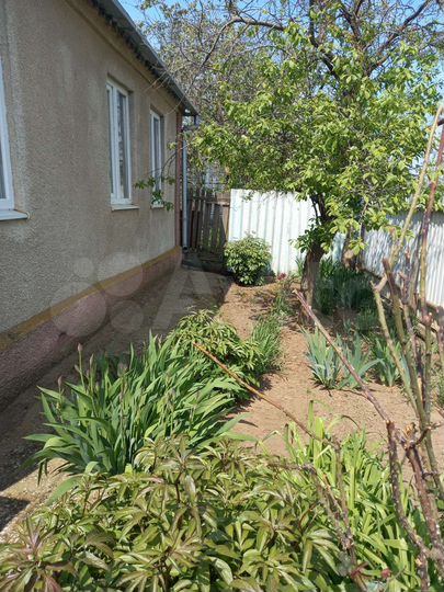 Дом 60 м² на участке 35 сот.