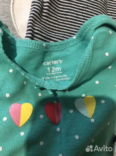 Боди carters пакетом