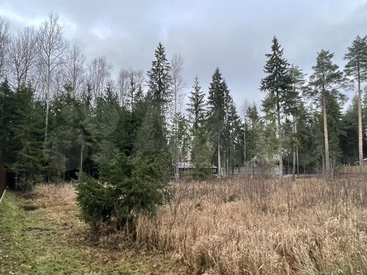 Участок 11 сот. (СНТ, ДНП)