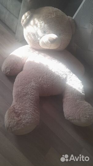 Большой медведь