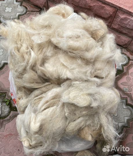 Собачья шерсть продажа