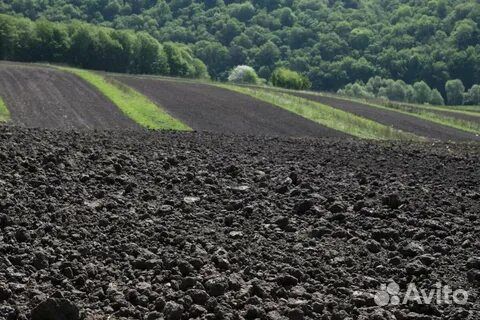 Земля растительный грунт