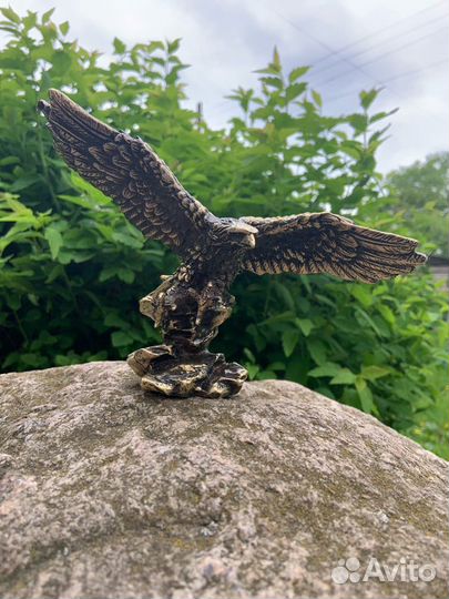 Орёл бронзовый