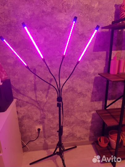 Фитолампа для растений