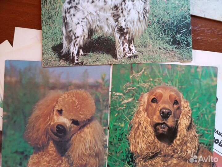 Наборы открыток СССР