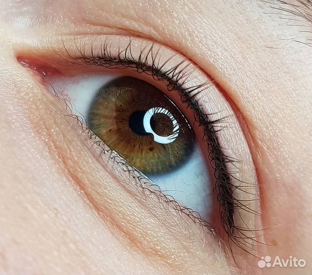 Модель на перманентный макияж бровей губ и век