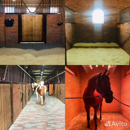 Аренда денника, постой лошадей