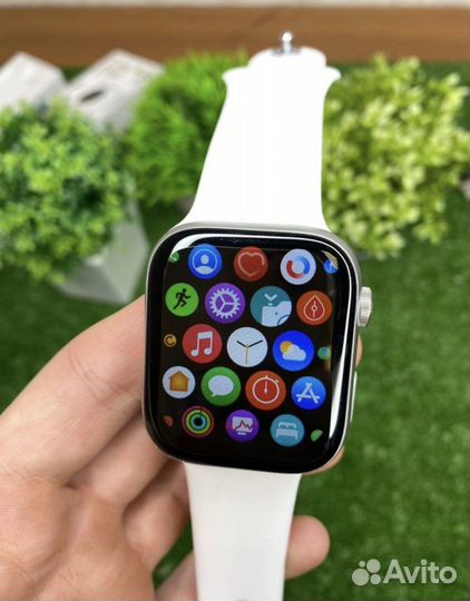 Apple watch 8