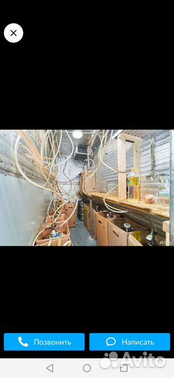 Готовый бизнес, бар разливного пиво