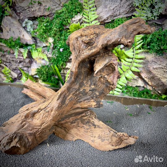 Коряга для аквариума Тиковое дерево (нкт73)