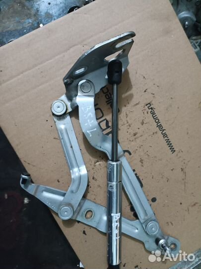 Левая петля багажника Volkswagen Passat B5+