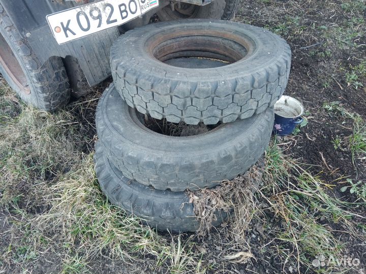 Калоса на газона