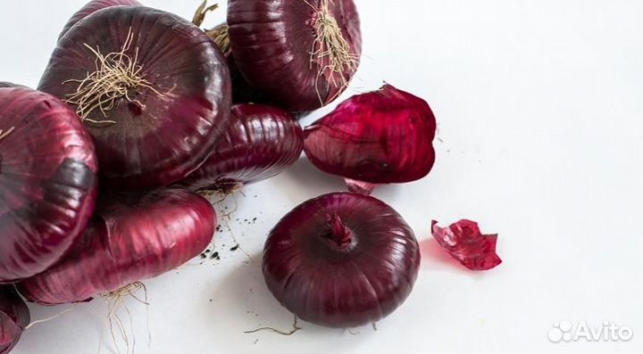 Лук Ялтинский