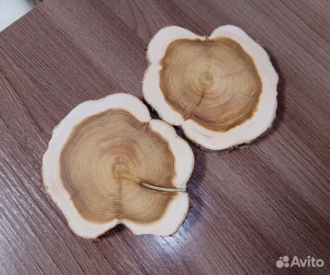 Можжевельник, срез,спил подставка, в наличии