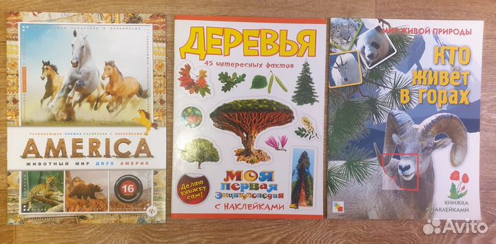 Развивающие книги для дошкольников, б/у