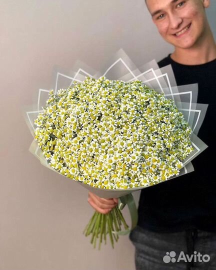 Цветы ромашки. Букеты ромашек. Цветы доставка