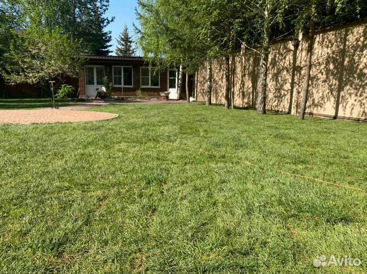 Рулонный газон /продажа/укладка