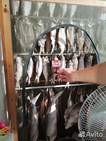 Продукты питания сухая рыба