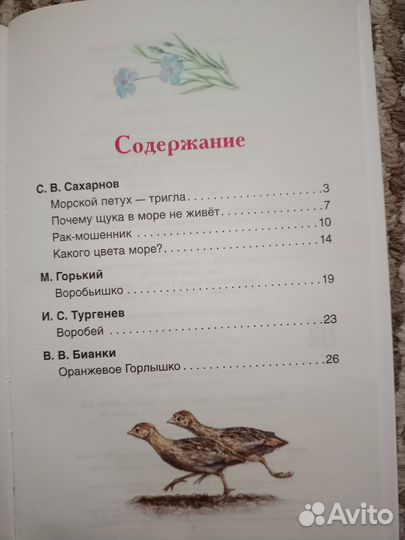 Оранжевое горлышко. Рассказы о природе