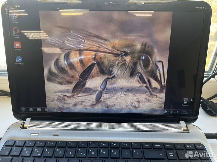 Ноутбук hp pavilion dv6