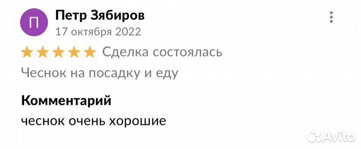 Чеснок домашний