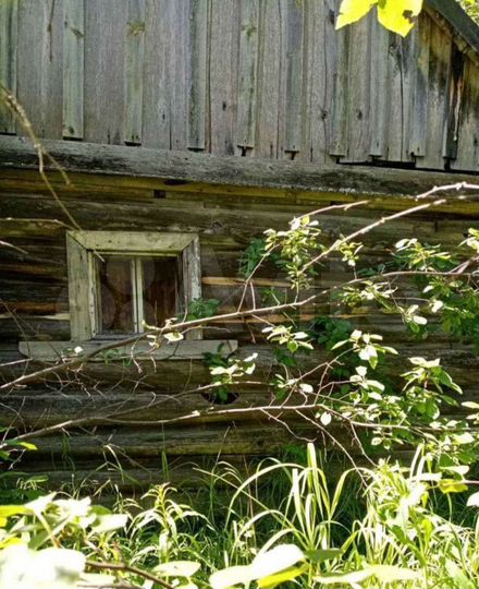 Дом 54,2 м² на участке 31 сот.