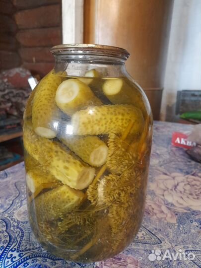 Огурцы домашние консервир, яблоки проданы