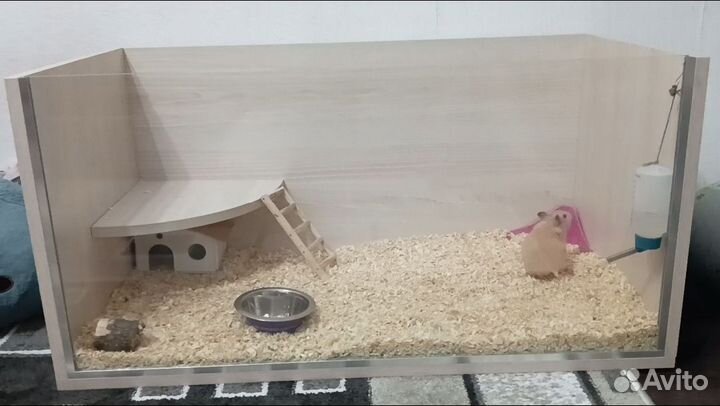 Клетка-стеллаж для грызунов