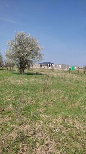 Участок 11,5 сот. (ИЖС)