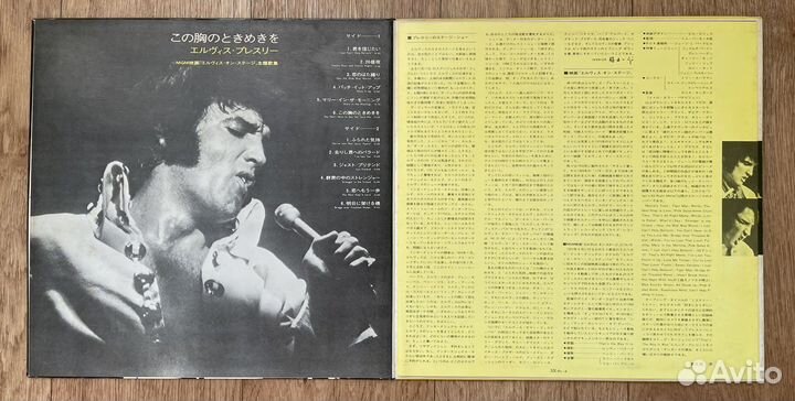 Elvis Presley “That’s the way it is”