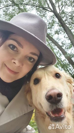 Выгул собак, зооняня, догситтер, уход за животными