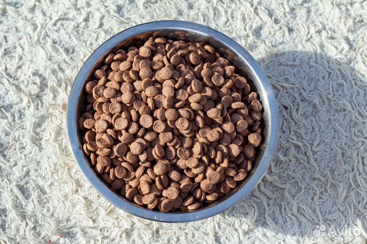 Корм для собак