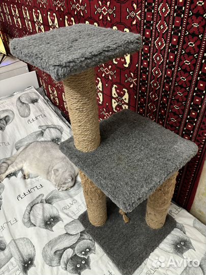 Когтеточки для кошек