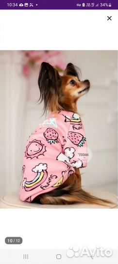 Свитшот для питомца