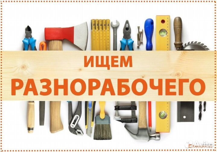 Разнорабочий оплата ежедневно