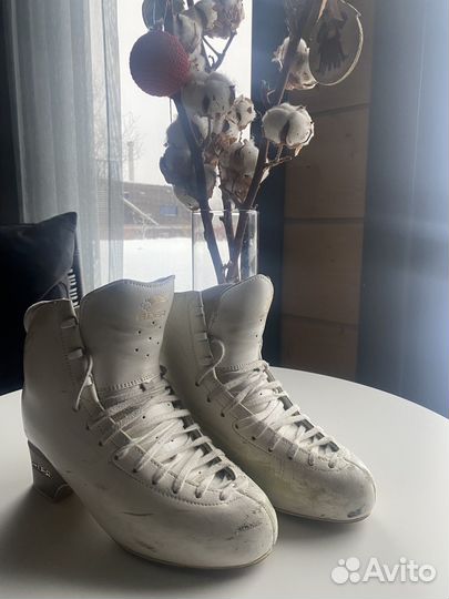Фигурные коньки edea Flamenco Ice 255 б/у